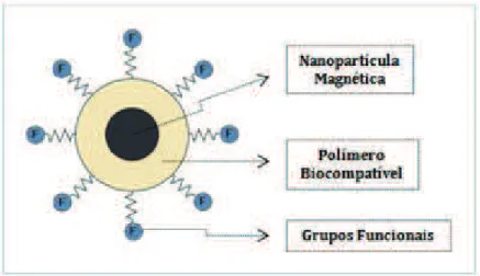 Figura 4 - Representação esquemática de uma nanopartícula magnética (em preto),  recoberta com um polímero biocompatível e grupos funcionais ligados à sua 