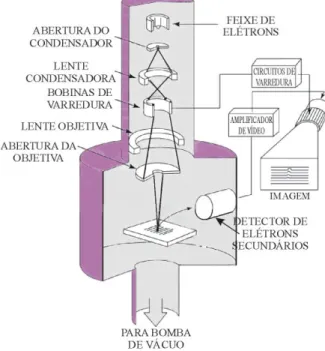 Figura 4. Diagrama esquemático de um microscópio eletrônico de varredura.  