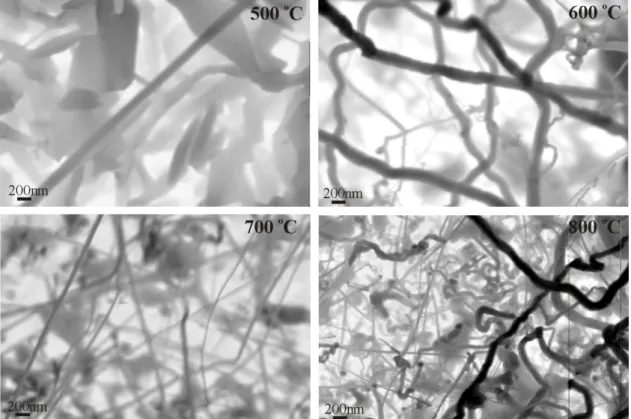 Figura 25. Nanofios de germânio crescidos a partir do cobre em diferentes temperaturas - imagens obtidas por  microscópio eletrônico de varredura