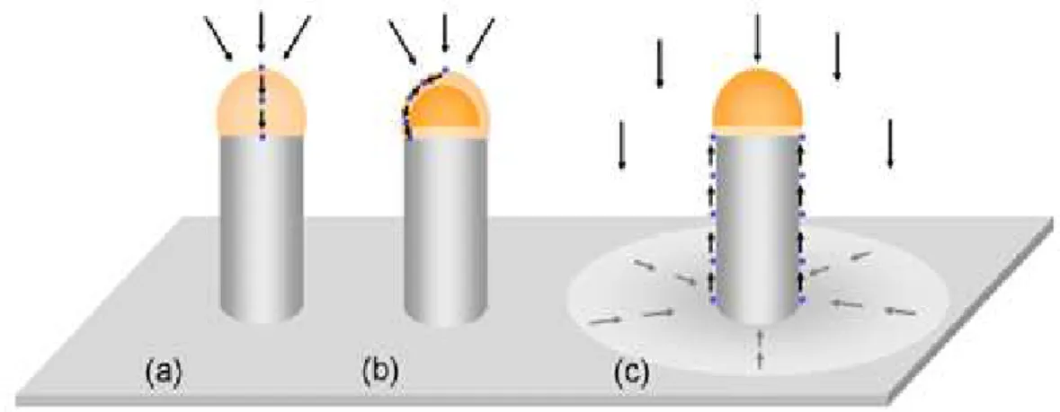 Figura 4: Modelos de difusão nos mecanismos de crescimento dos nanoos: (a) mononu- mononu-clear com gota totalmente líquida, (b) poli-numononu-clear, gota parcialmente líquida e (c)  con-trolado por difusão com apenas a interface líquida