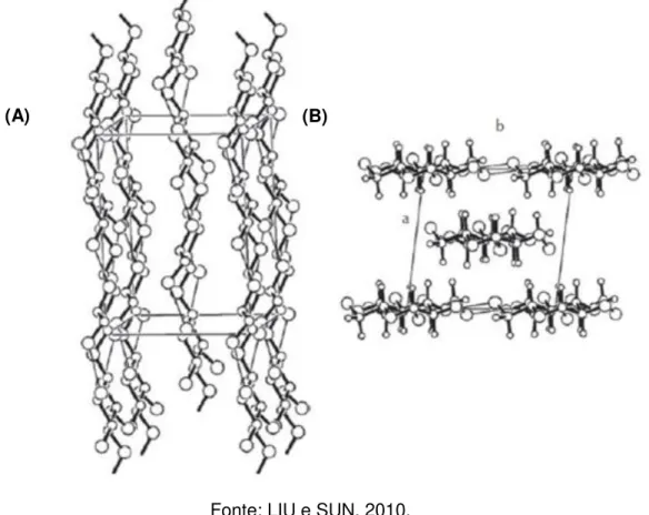 Figura 4 : Estrutura cristalina da celulose Iβ, (A) vista oblíqua e (B) vista ao longo da  relação axial c