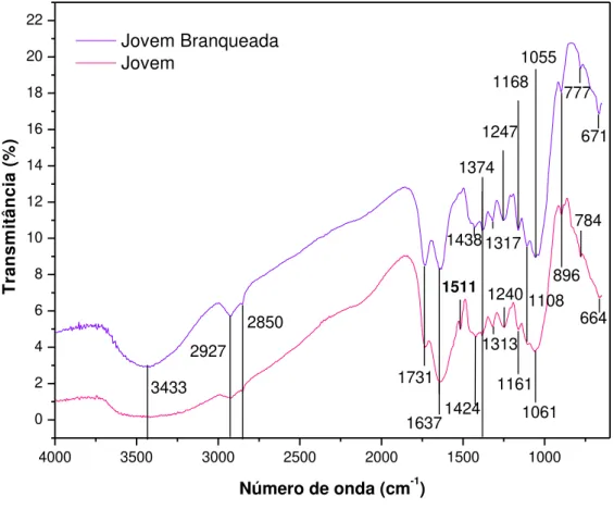 Figura 19: Espectros de FTIR da amostra jovem antes e após branqueamento.