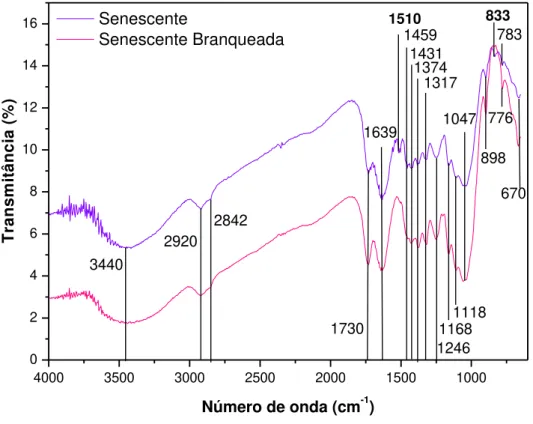 Figura 20: Espectros de FTIR da amostra senecentes antes e após branqueamento. 4000 3500 3000 2500 2000 1500 10000246810121416Transmitância (%) Número de onda (cm -1 ) Senescente Senescente Branqueada3440292028421730 1639 1510 14311459 1374 1317 1246 1168 
