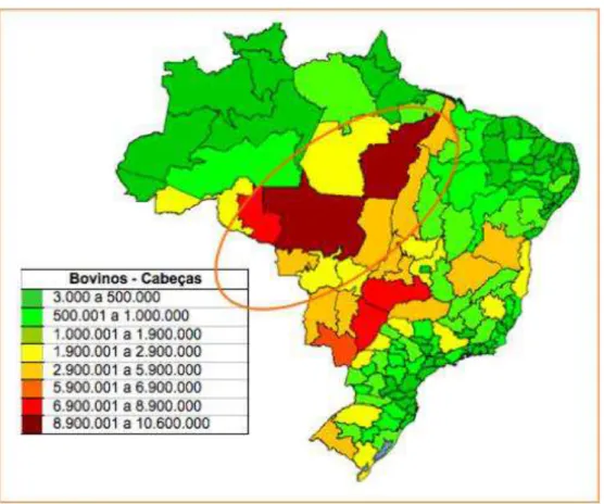 Figure 10: Cattle Herd Concentration on the Legal Amazon 