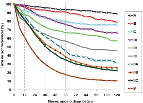 Figura 4 - Taxa de sobrevivência (%) de mulheres com CO e idade ≥ 20  anos,  em  meses  após  o  diagnóstico,  por  estádio  FIGO  (Adaptado  de  [136])