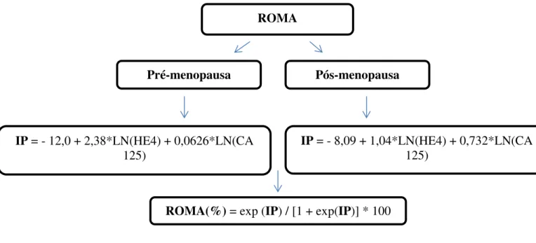 Figura 6 - Determinação do algoritmo ROMA. 