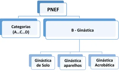 Figura 4 – Matérias de ensino - Ensino Secundário (Adaptado de Jacinto et al., 2001b) 