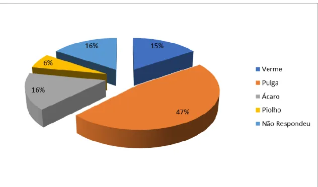 Figura  4.  Classifição  científica  da  Tunga  Penetrans  (visão  dos  professores  e  gestores)