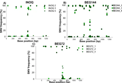 Fig 7. Frequency of SNVs along the RiAOX sequence on the INOQ, BEG144 and BEG72 isolates.