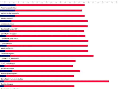 Fig 2. Predicted size of the N-terminal sequence that can support mitochondrial targeting and the cleavage site, in AOX proteins of different fungi