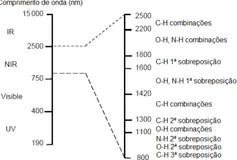 Figura  7  –  Representação  das  principais  bandas  de  absorção  da  radiação  NIR  e  a  sua  localização  no  espectro  electromagnético