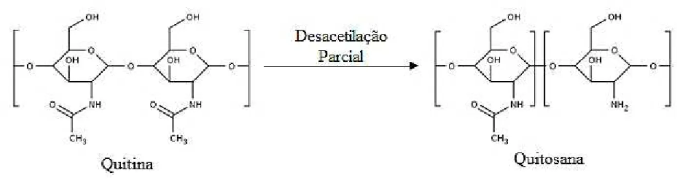 Figura 1 - Estruturas químicas da quitina e quitosana 