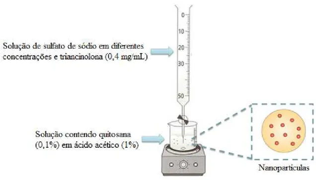 Figura 9 - Esquema de preparação das nanopartículas de quitosana com triancinolona usando  sulfato de sódio