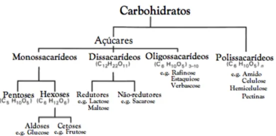 Figura 1. Classificação de carbohidratos (adaptação de Kadlec [77]). 