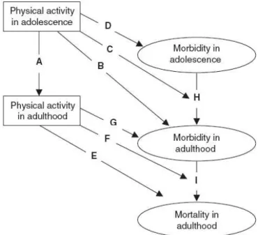 Figura 1:Relação entre a actividade física e a saúde (Hallal et al, 2006).      