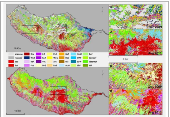 Figure 4 - Best classification maps produced for December 2009 (top) and August 2011 (bottom).