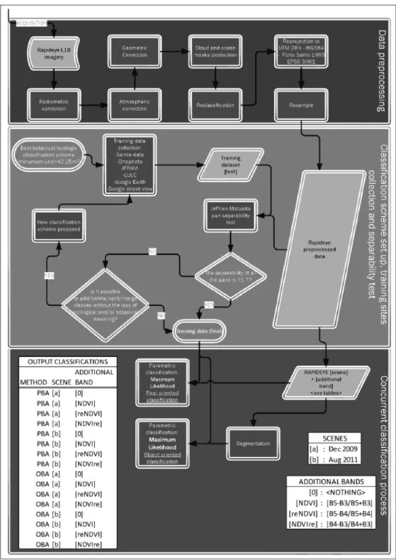 Figure 2 - Schematic representation of the methodological workflow followed in this study.