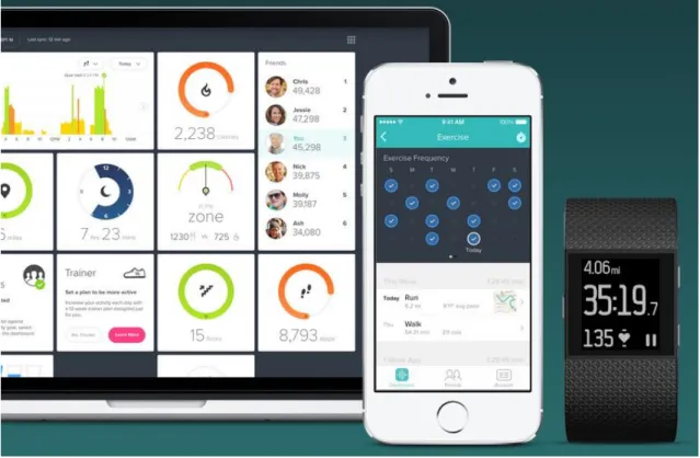 Figure 2 - The Fitbit Tracker [2]. 