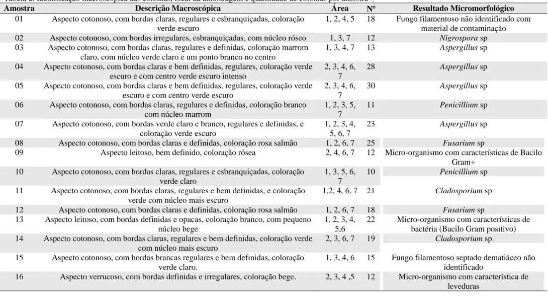 Tabela 2. Identificação macroscópica das colônias, local da amostragem e quantidade de colônias por amostra 