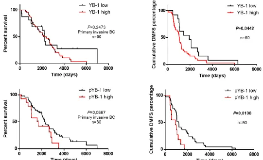Figure  7  Kaplan-Meier  overall  survival  (Percent  survival)  and  distant  metastasis-free  survival  (DMFS) curves according to YB-1 and p-YB-1(Ser102) in primary invasive BC patients (n=60)