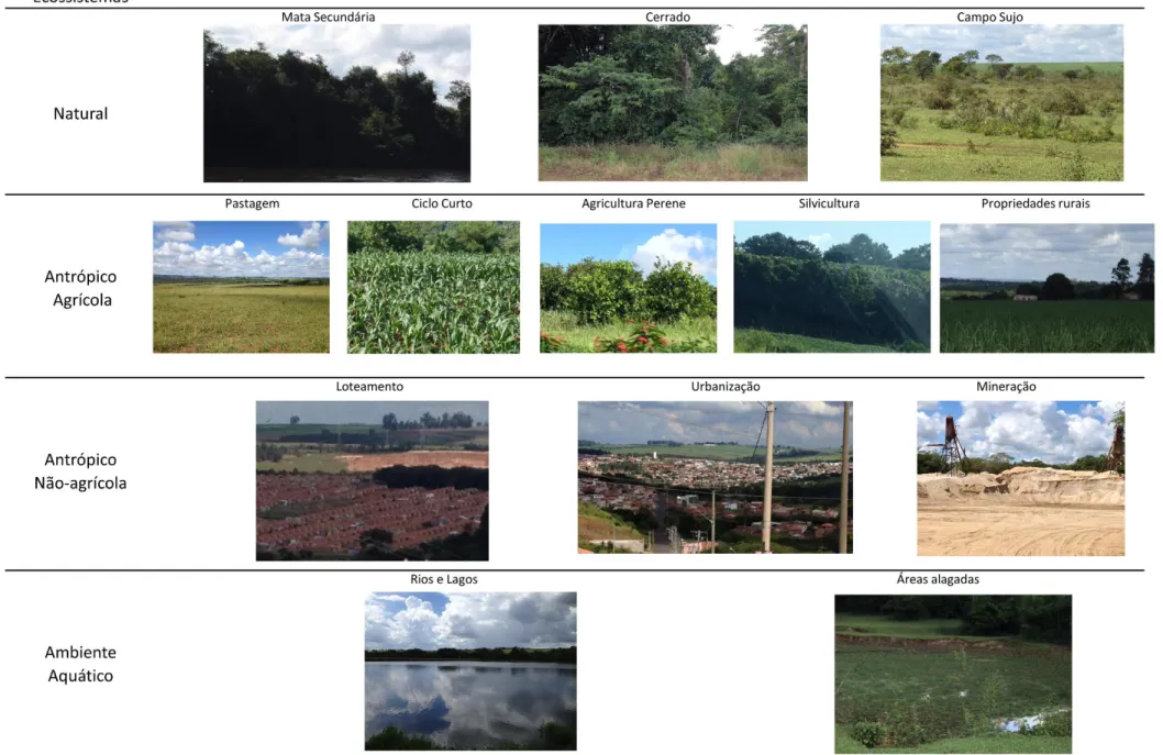 Tabela 1. Classificação dos tipos de ecossistemas da paisagem do município de São Carlos (SP)