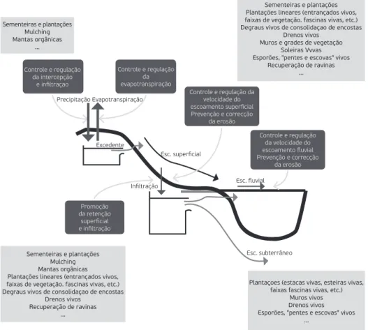 Fig. 1. Intervenções de Engenharia Natural para a gestão dos sistemas hidrológicos