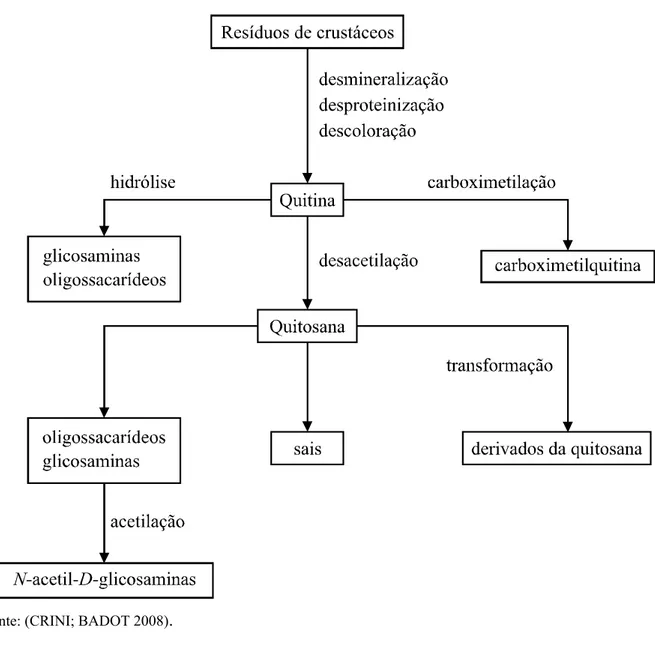Figura 3 – Esquema simplificado da preparação de quitina, quitosana e seus derivados. 