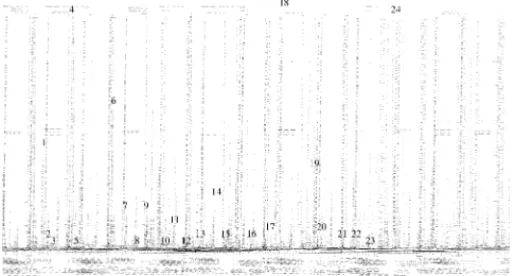 Fig. 2. TIC chromatogram of a TNM-MD red wine dichloromethane extract. Peak identification: (1) 2-methylpropan-1-ol; (2) isoamyl acetate;
