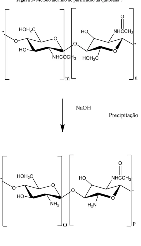 Figura 3- Método alcalino de purificação da quitosana .        3.2   ESPALHAMENTO DE LUZ   