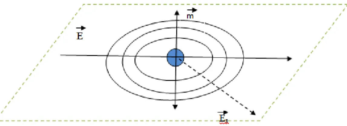Figura 4- Oscilação no dipolo induzido por uma luz incidente e conseqüente espalhamento de luz 12