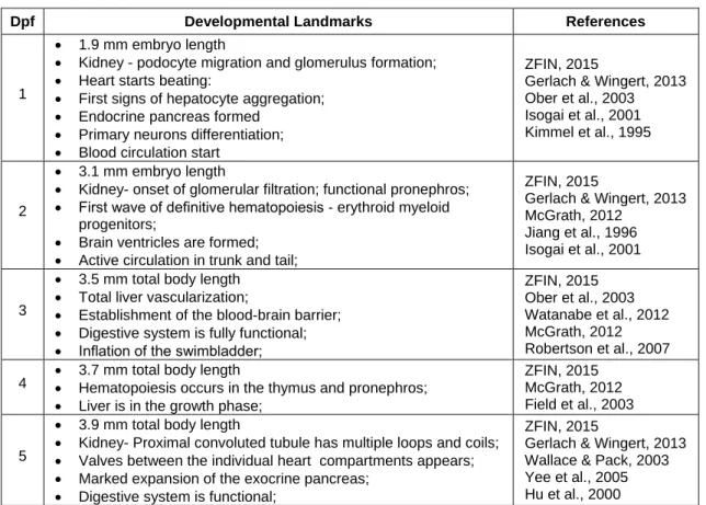 Table 1 – Principal Landmarks in zebrafish development since 1 to 7 dpf. 