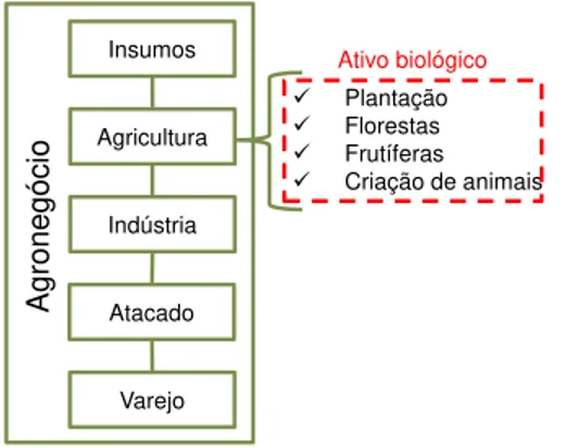 Figura 1. Esquema simplificado do agronegócio com destaque para os ativos  biológicos no elo agricultura