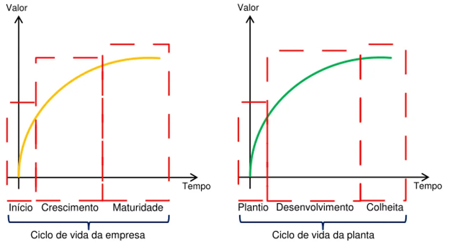 Gráfico 2. Comparativo do ciclo de vida da empresa com o ciclo de vida da planta.  Fonte: elaboração própria