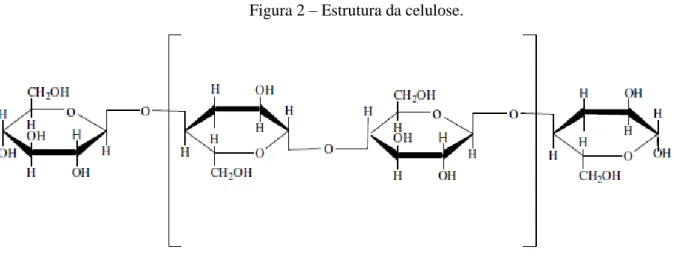 Figura 2  – Estrutura da celulose.