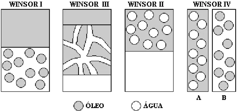 Figura 3 - Classificação de Winsor para sistemas microemulsionados. Fonte: (MOULIK e PAUL, 1998) 