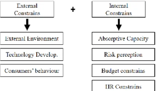 Figure  7 - Outcomes of the external and internal constraints of DMP about SM. 