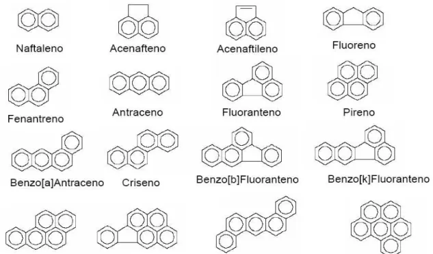 Figura 2.1  – Estrutura molecular dos 16 HPAs considerados como prioritários pela USEPA