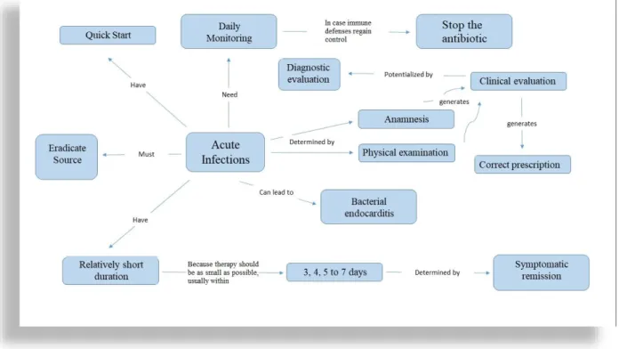 Figure 3. Conceptual map of the organization of a prophylactic protocol for acute diseases