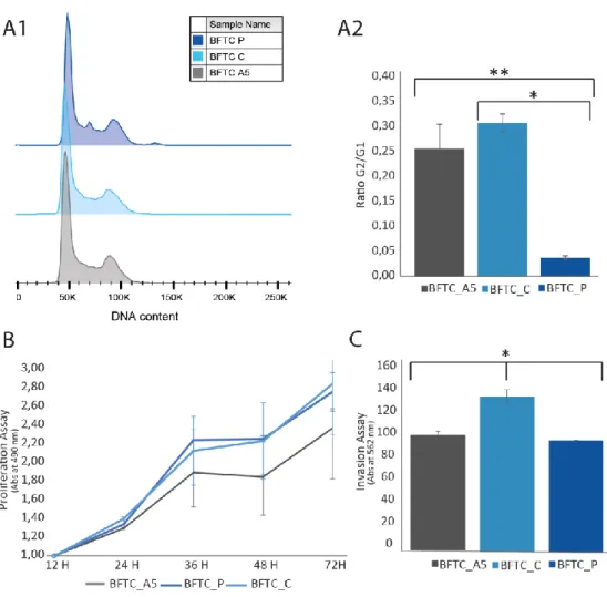 Figure  4.4  Functional  studies  of  BFTC_A5,  BFTC_C  and  BFTC_P  cell  lines.  A-A1:  Representation  of  cell  cycle  results  obtained by Flow Cytometry