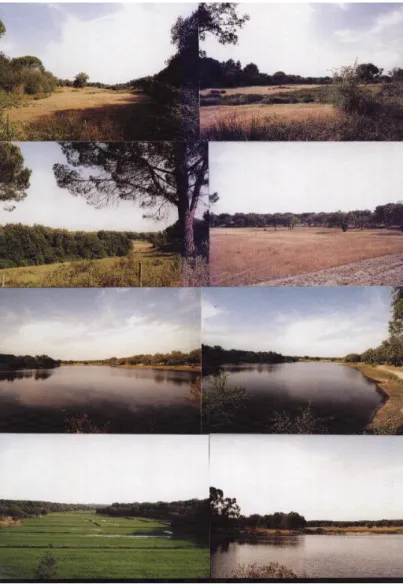 Figure 5 – Several pictures of the Alcube property 