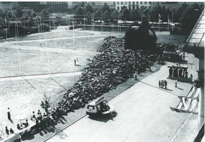 Fig. 11  Installation view of the 7,000 basalt stones in Friedrichsplatz, Kassel, 1982, photograph by  Dieter Schwerdtle © documenta Archiv 