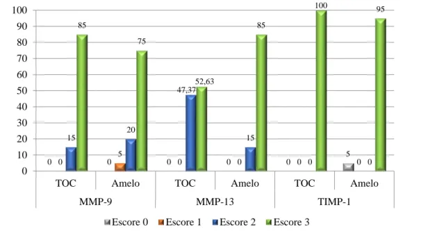 Figura 4. Distribuição dos escores de imunomarcação para MMP-9, MMP-13 e TIMP-1 no mesênquima 
