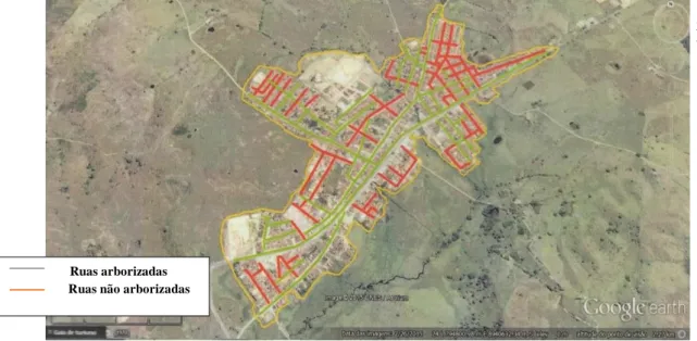 Figura  1.  Foto  via  satélite  do  município  de  Maribondo,  Alagoas,  destacando  as  ruas  arborizadas e não arborizadas