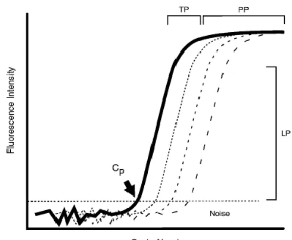 Figura 6: Representação da curva sigmóide referente a uma reação de PCR em tempo real - 