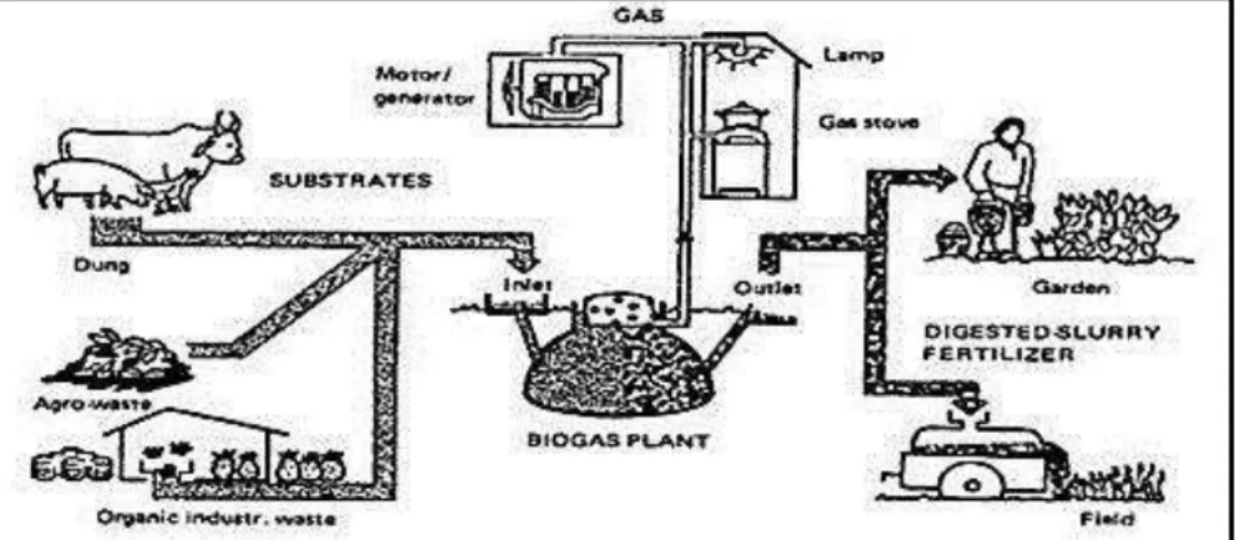 Fig. 1 - Esquema de como pode ser obtido o biogás, por processo de digestão anaeróbica