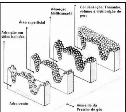 Figura 4 - As possíveis fases da adsorção (PIMENTEL,2005) 