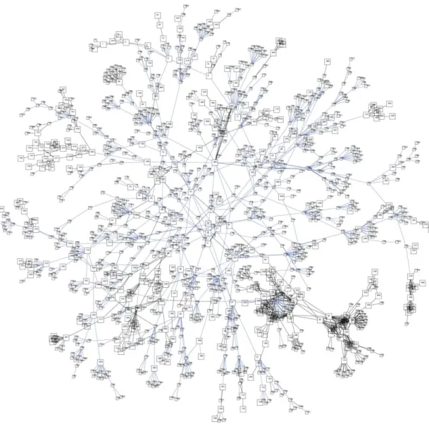 Figura 5 : Gráfico Grande do MBone Topologia da Rede  