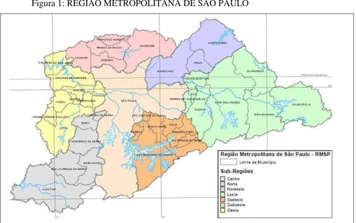 Figura 1: REGIÃO METROPOLITANA DE SÃO PAULO 