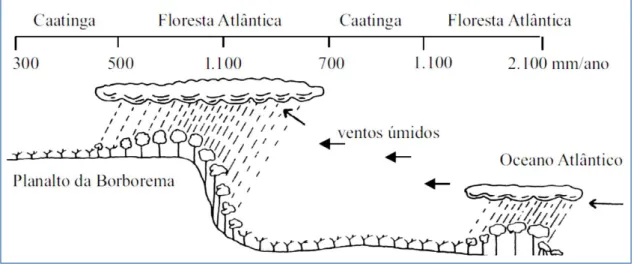Figura 6. Perfil esquemático dos  brejos de altitude (aqui representado pelo Planalto da Borborema) no  Nordeste do Brasil
