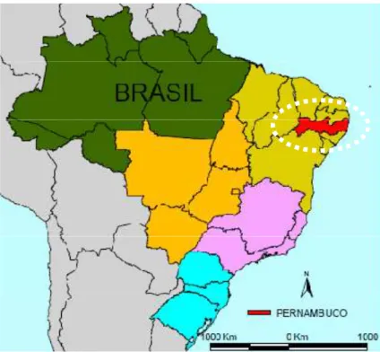 Figura 1: Mapa do Brasil com localização de Pernambuco, destacado na cor vermelha. Fonte: 